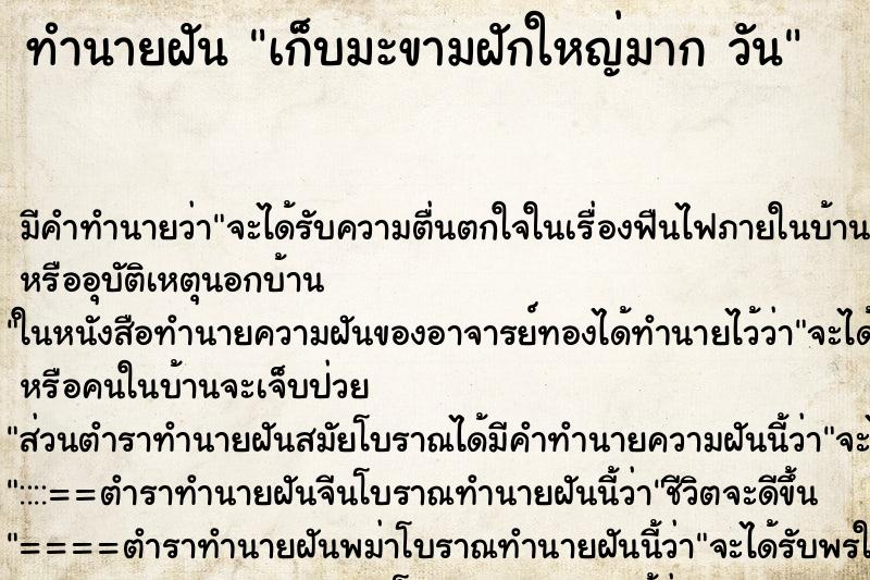 ทำนายฝัน เก็บมะขามฝักใหญ่มาก วัน